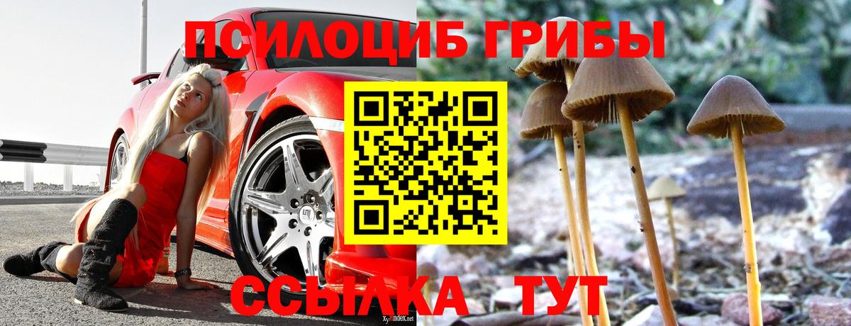 Галлюциногенные грибы Cubensis  Вход с VPN  Псилоцибиновые грибы мухоморы  Белебей 